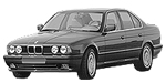 BMW E34 P3310 Fault Code